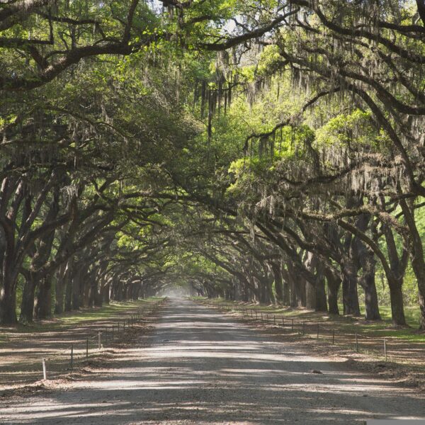 What To Do And See On Vacation In Savannah, Georgia