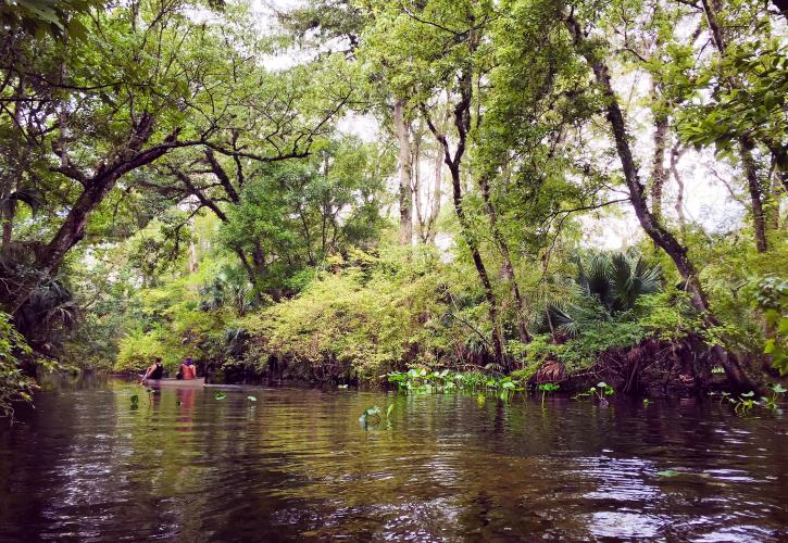 Wekiwa Springs State Park