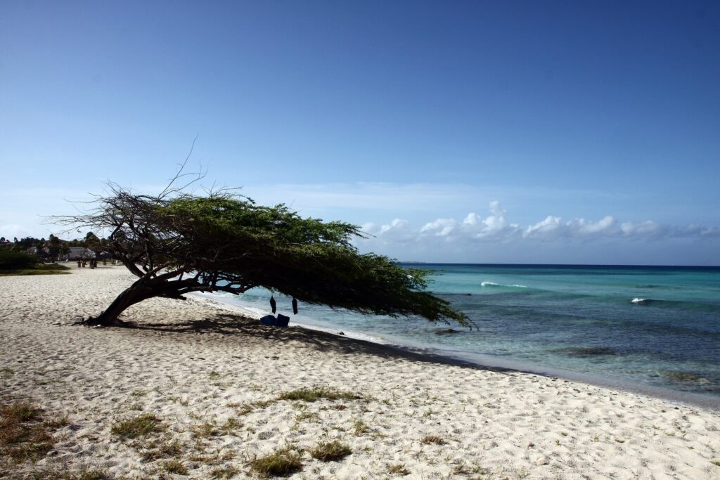 Aruba Unveiled: How to Maximize Your Adventure in the Caribbean Paradise