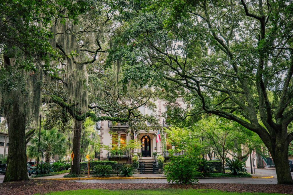 Savannah Travel Guide