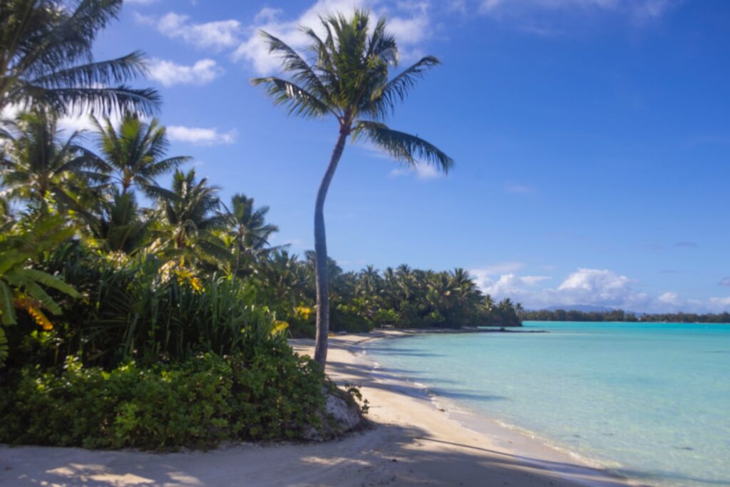 Tahiti Cruise: The Ultimate Guide to a Dreamy South Pacific Escape