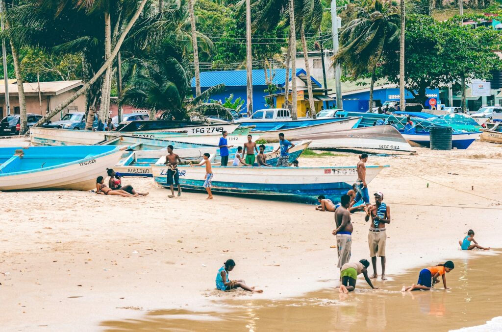 people on beach during daytime