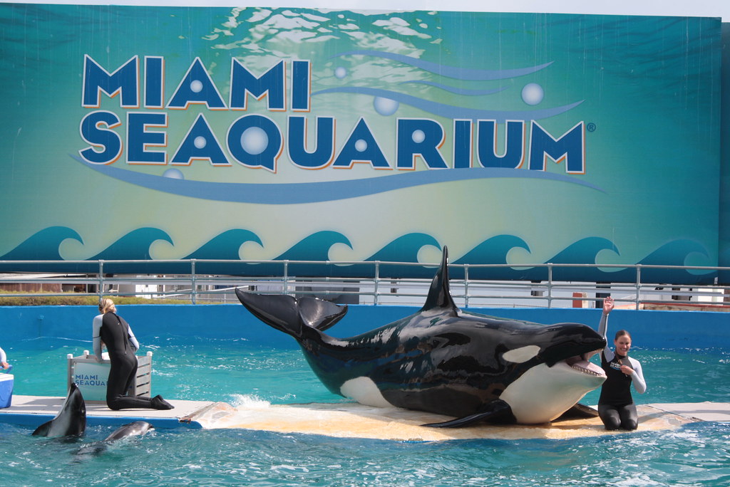 Miami Seaquarium