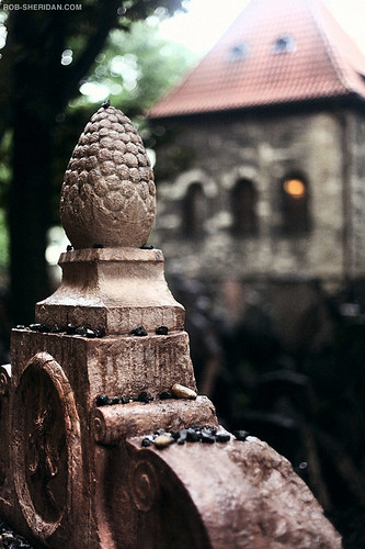 Old Jewish Cemetery of Prague