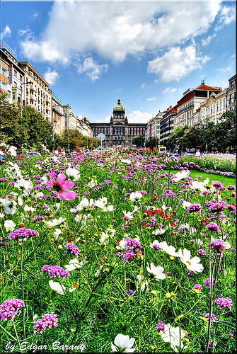 Wenceslas Square