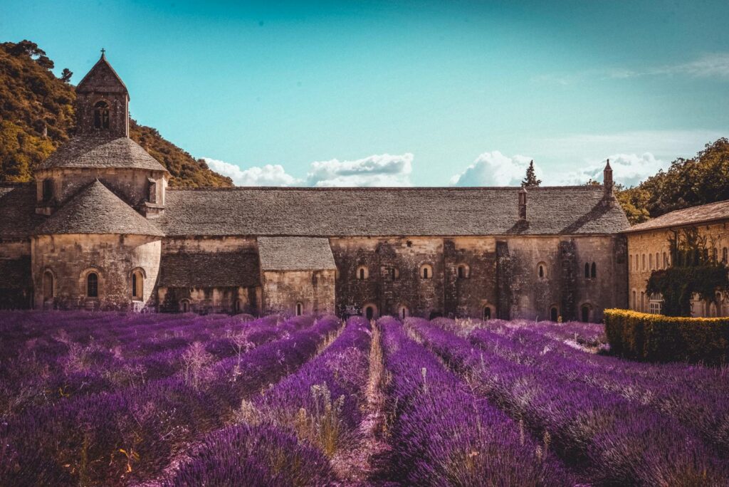 Amazing view of aged Catholic abbey in Provence near lush fragrant lavender field on clear summer day