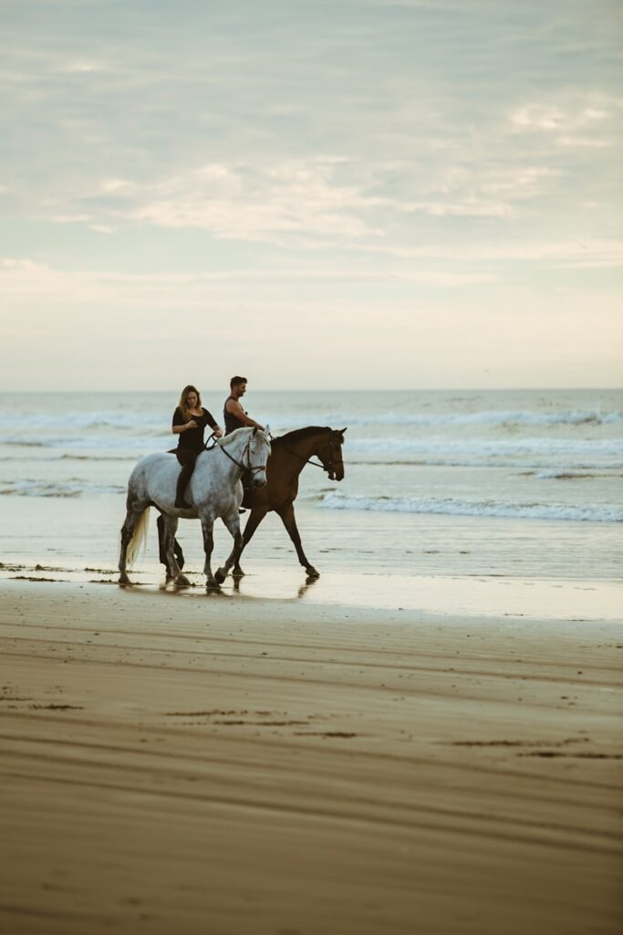 man and woman riding on horse near seashore