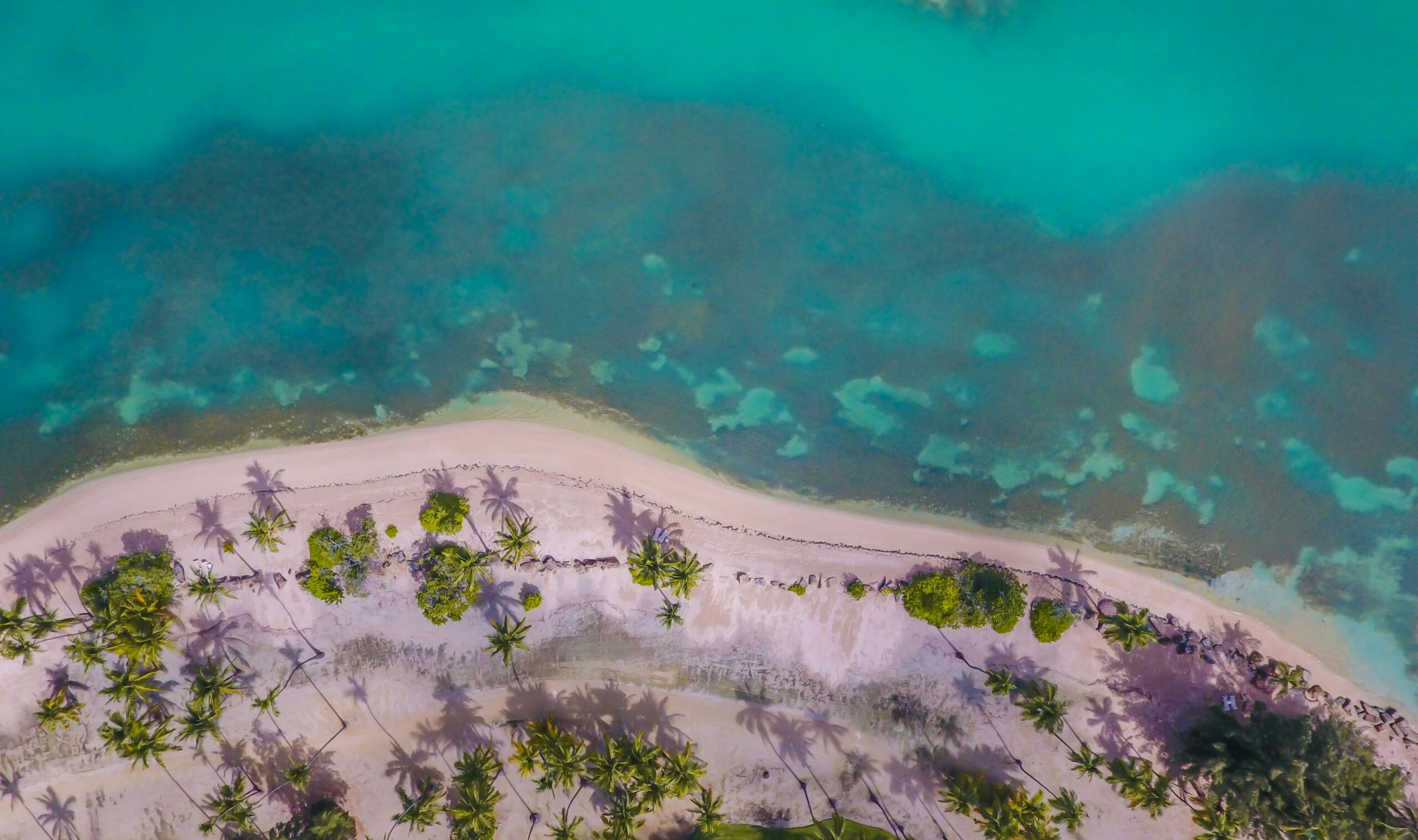 Sail into Adventure: Discovering Puerto Vallarta’s Hidden Gems